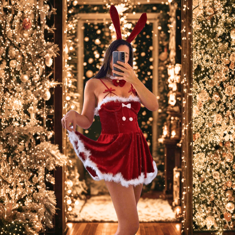 Santa's Baby Bunny